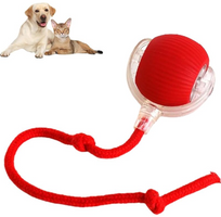 Smart Rolling Pet Ball